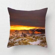 Load image into Gallery viewer, Natural Pillow Case